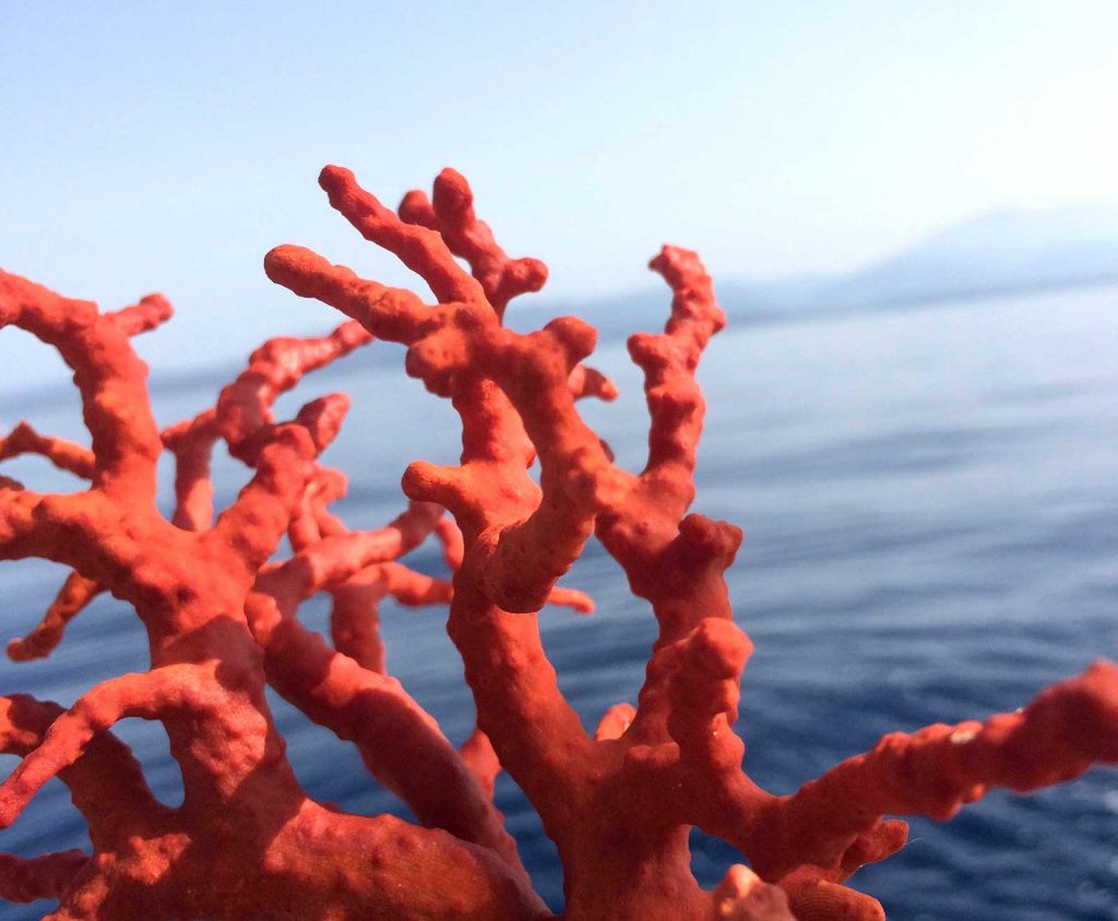 Les coraux ont une riche histoire depuis des millénaires, notamment grâce à la mythologie.
